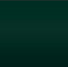 JAGUAR HGJ 1900 SOLID DEEP GREEN farba nariedená, lakovateľná, 1 liter
